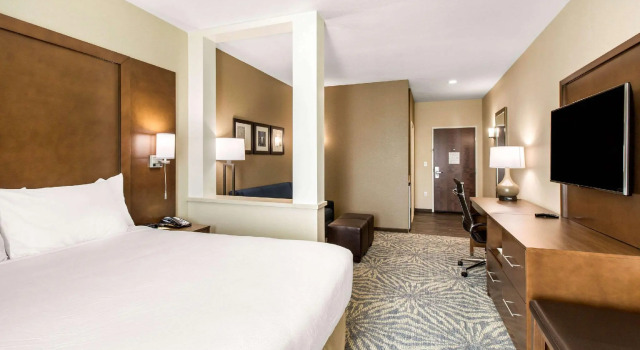 Двухместный люкс Comfort Suites - South Austin