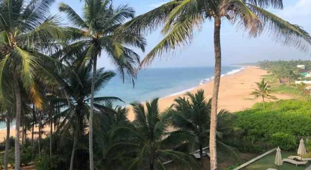 Номер Deluxe Turtle Bay Boutique Hotel