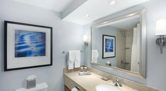 Номер Standard Hilton Long Island/Huntington