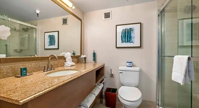 Номер Standard с видом на горы DoubleTree by Hilton Tucson-Reid Park
