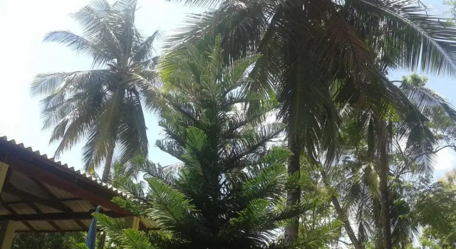 Nil Diya Holiday Resort