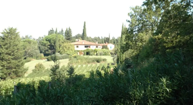 Villa Roma Imperiale