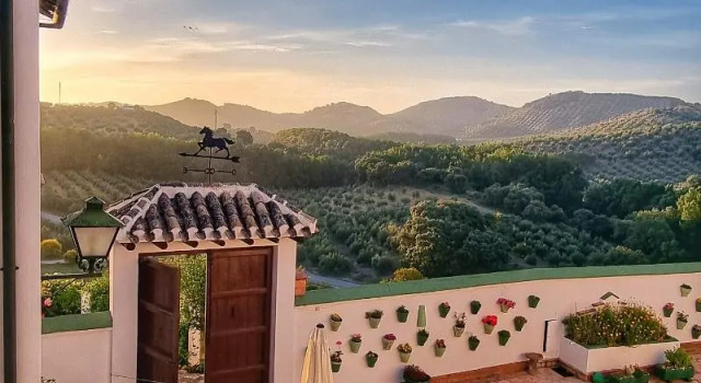 Люкс Superior Cortijo La Presa