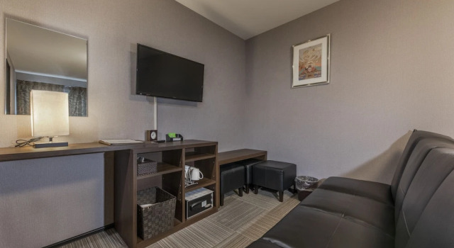 Номер Standard Tofukuji Riverside
