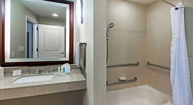 Четырёхместный люкс для людей с ограниченными возможностями Homewood Suites Dallas Downtown