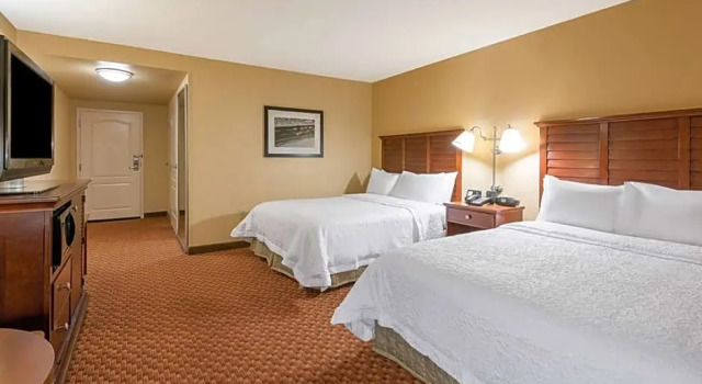 Четырёхместный люкс Hampton Inn & Suites Florence-North-I-95