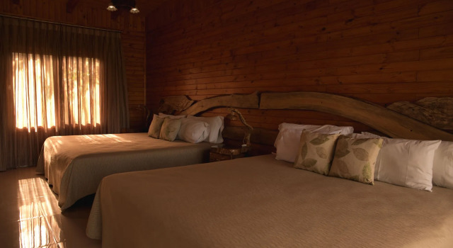 Tupa Lodge Selva y Rio, Book Hotel Hotels in Misiones with a Pool, Swimming Pool