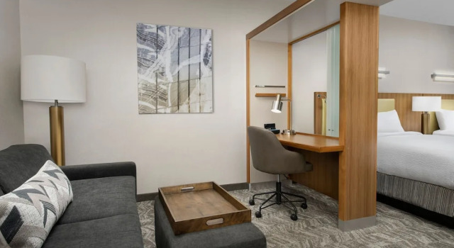Двухместная студия SpringHill Suites by Marriott Huntsville West/Research Park