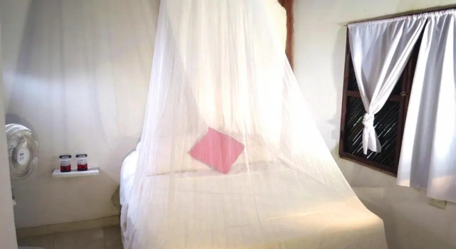 Номер Deluxe Palomino Breeze Hostal