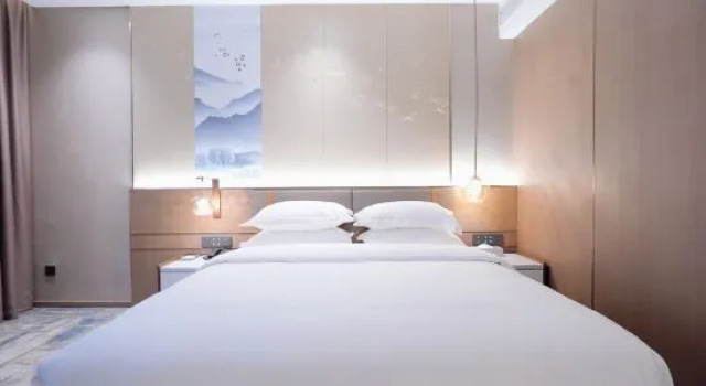 Люкс Business Qixing Lake Leisure Hotel
