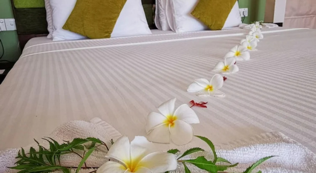Номер Standard Soul Wellness and Ayurveda Resort-All Meals and Treatments Included