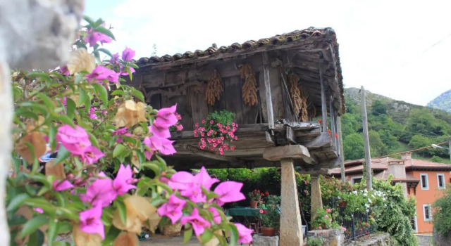 Коттедж El Colladín