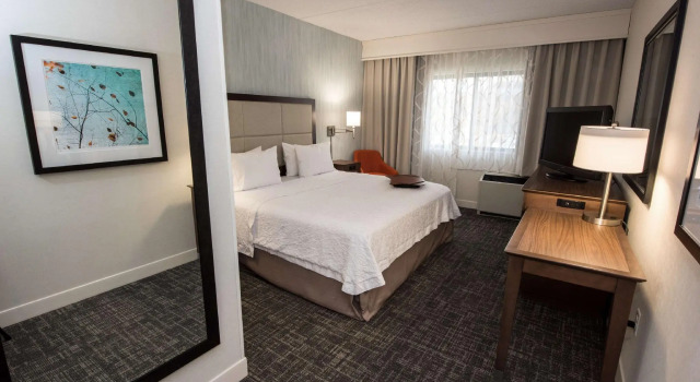 Двухместный люкс Hampton Inn Albany-Western Ave/University Area