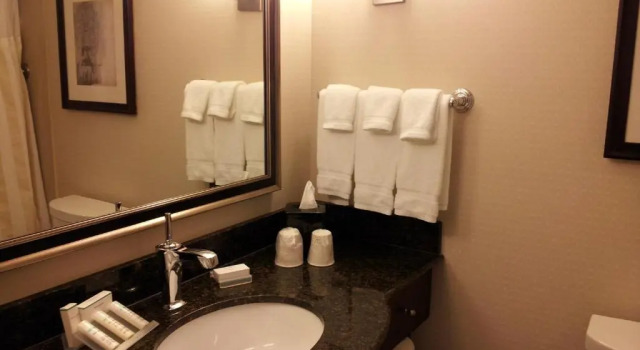 Номер Standard Hilton Garden Inn Toronto Airport