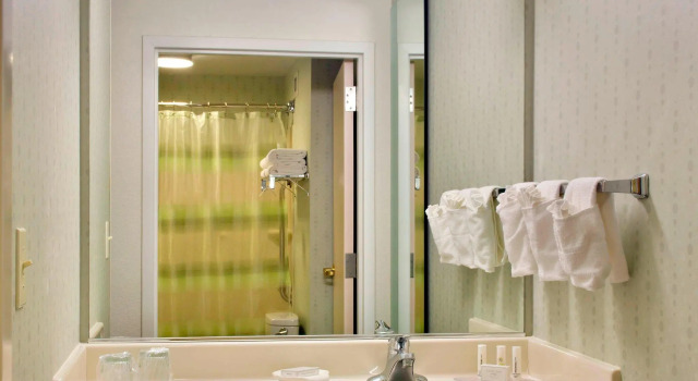 Четырёхместная студия SpringHill Suites Philadelphia Plymouth Meeting