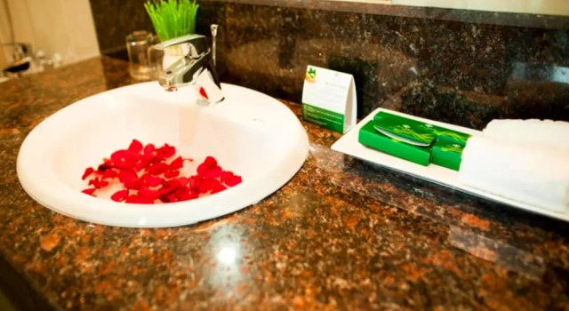 Семейный номер Standard с видом на горы River Hotel