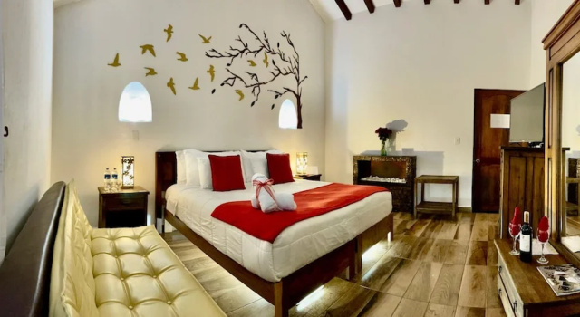 Двухместный полулюкс Hotel Boutique & Spa - VDL Colonial