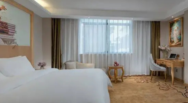 Люкс Deluxe Vienna Hotel (Yizhou Sankeshu)
