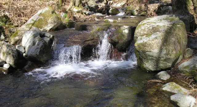 INTERNATURAM, Rezerwuj Hotel Carro Liguria