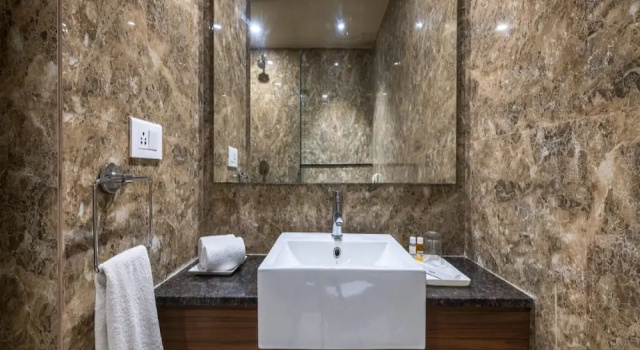 Двухместный номер Premium Hotel Cachar Club