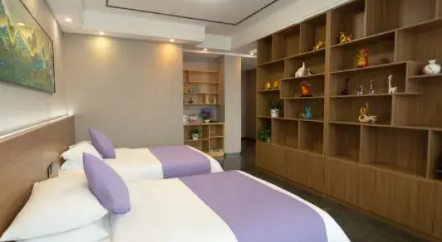 Люкс Tekes Bauhinia Rezen Retreat Hotel (Bagua City Center Taiji Altar Branch)