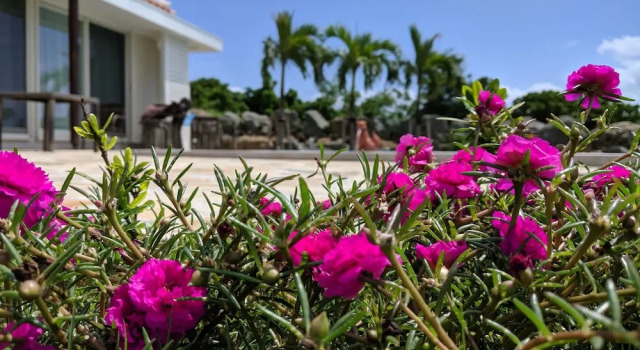 Вилла The Miyara Garden