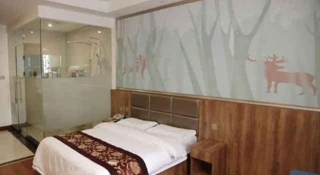 Номер Business GreenTree Inn TianJin Jinnan District Xiaozhan Training Park Express Hotel