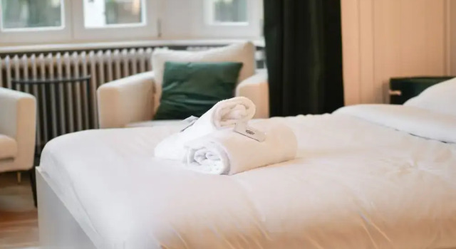 VIP Suite Apartment - 5 min walk center, Prenota Appartamento Luxembourg Lussemburgo