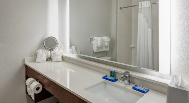 Двухместный люкс Holiday Inn Express & Suites Orlando At SeaWorld by IHG