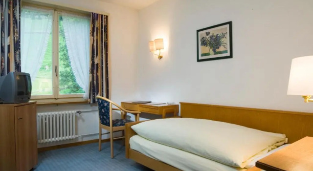Одноместный номер Standard Hotel Berghaus