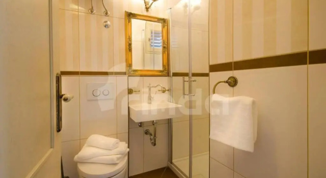 Студия Deluxe Studio Centener Rustico Gold