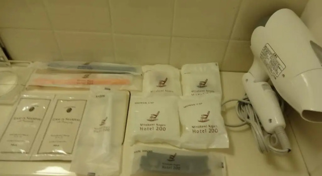 Номер Standard Minakami Kogen Hotel 200