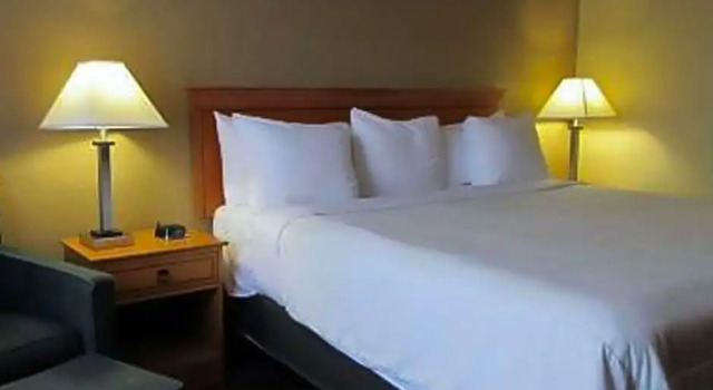 Номер Standard Quality Inn & Suites Airport