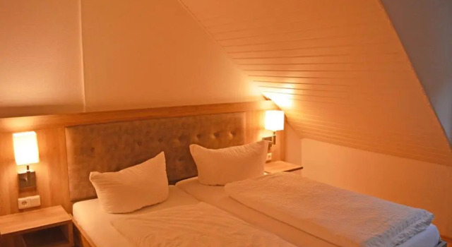 Четырёхместный номер Standard Aparthotel Jägerhaus