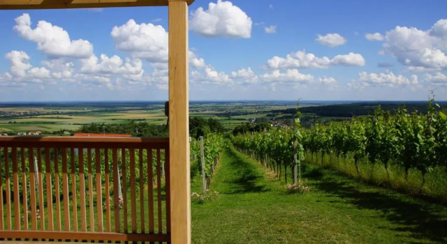 Коттедж с 3 комнатами Kellerstöckl Weinblick I und II