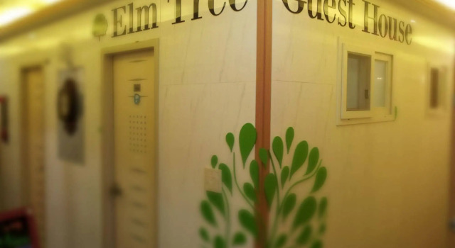 Elm Tree Guesthouse Myeongdong