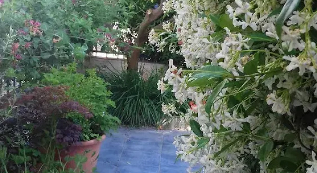 The Jasmine House, Prenota Hotel Mitikas 