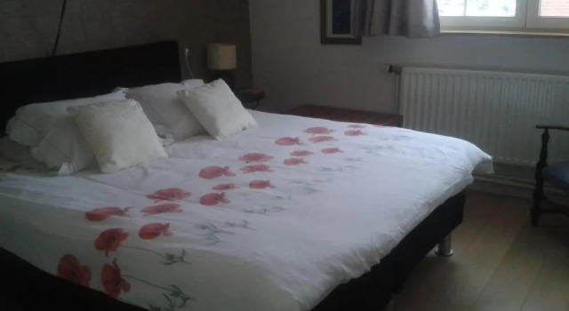 Двухместный номер Standard B&B Villa Vanilla