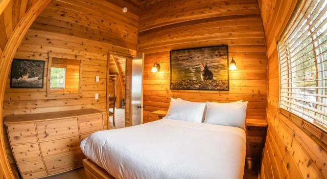 Люкс с 2 комнатами Ocean Village Resort