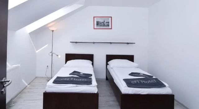 Апартаменты Deluxe Дуплекс с 2 комнатами eFi Palace Hotel