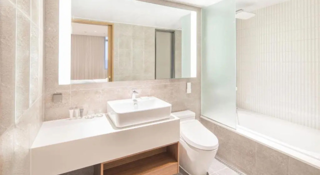 Двухместный полулюкс Ibis Ambassador Suwon