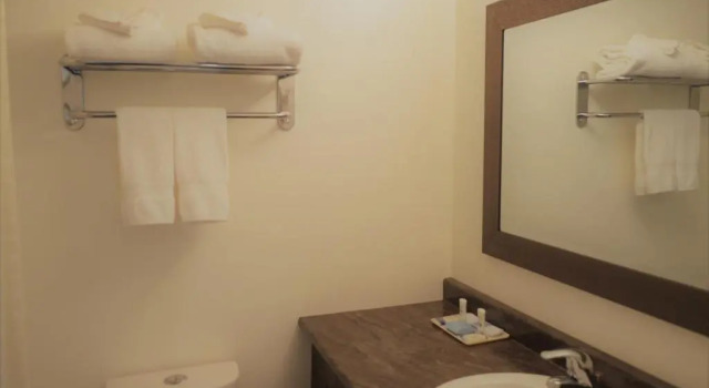 Люкс Deluxe Western Traveller Motel