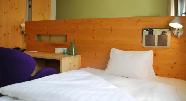 Одноместный номер Standard Hotel Steinerwirt1493