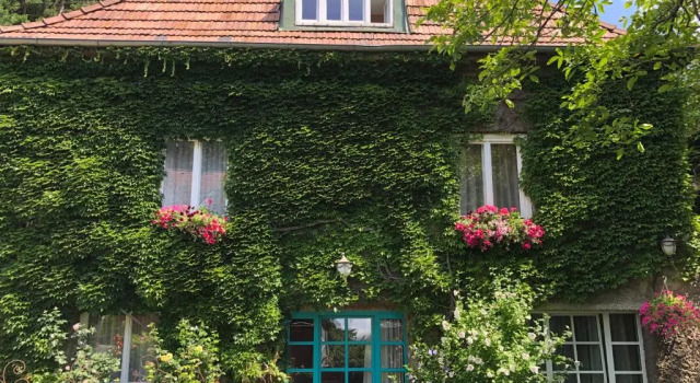 Апартаменты Schoenbrunn Gardens Deluxe Apartment