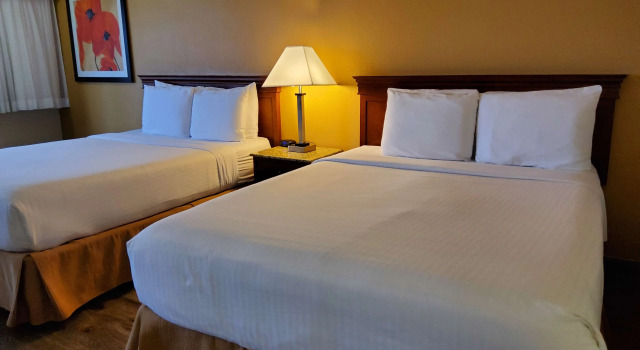 Четырёхместный номер Standard Best Western Golden Key