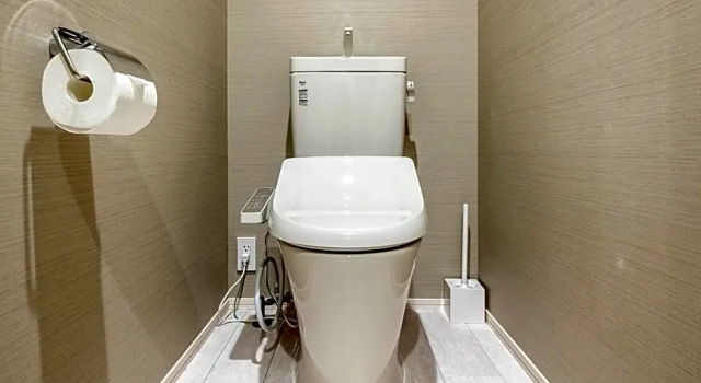 Двухместный номер Deluxe с балконом AIMA Ueno East
