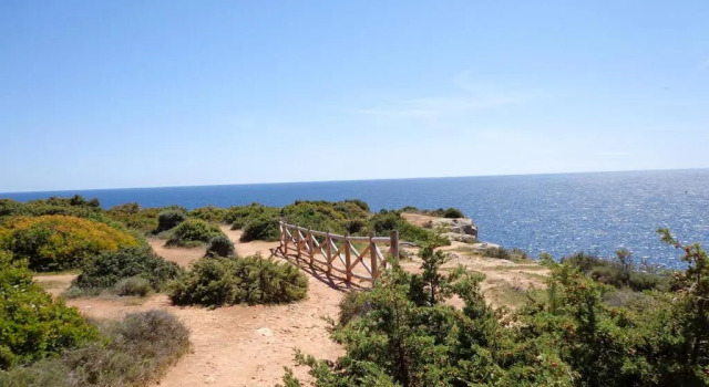 Апартаменты с видом на море Algarpraia