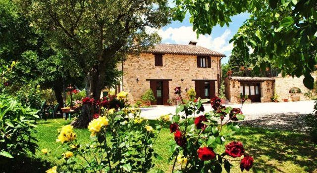 Номер Standard Agriturismo LAntico Oliveto