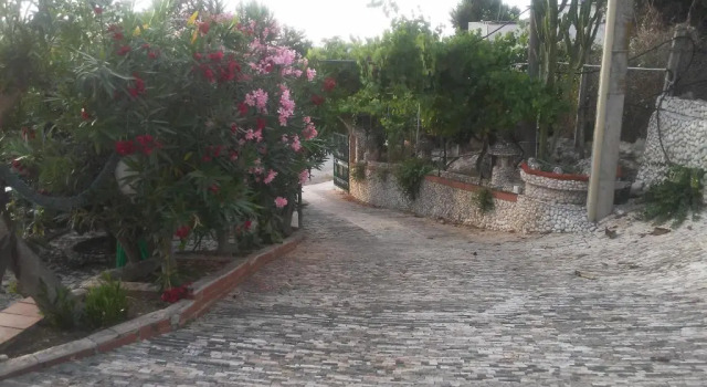 Villa Maria, Book Villa Peschici Foresta Umbra