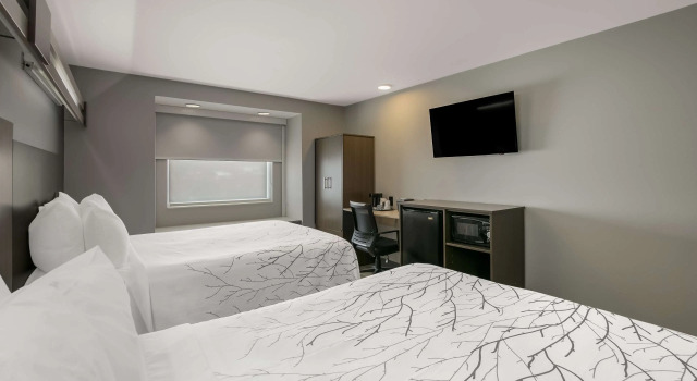 Четырёхместный номер Standard SureStay Plus Hotel by Best Western Sevierville